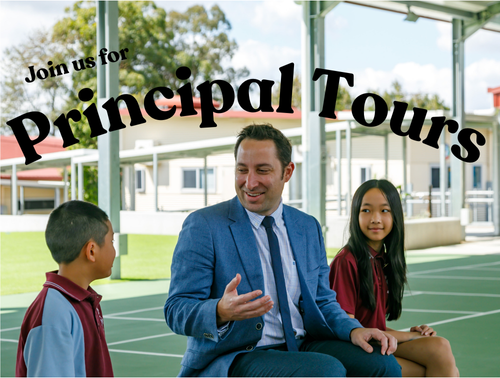 Principal Tours.png